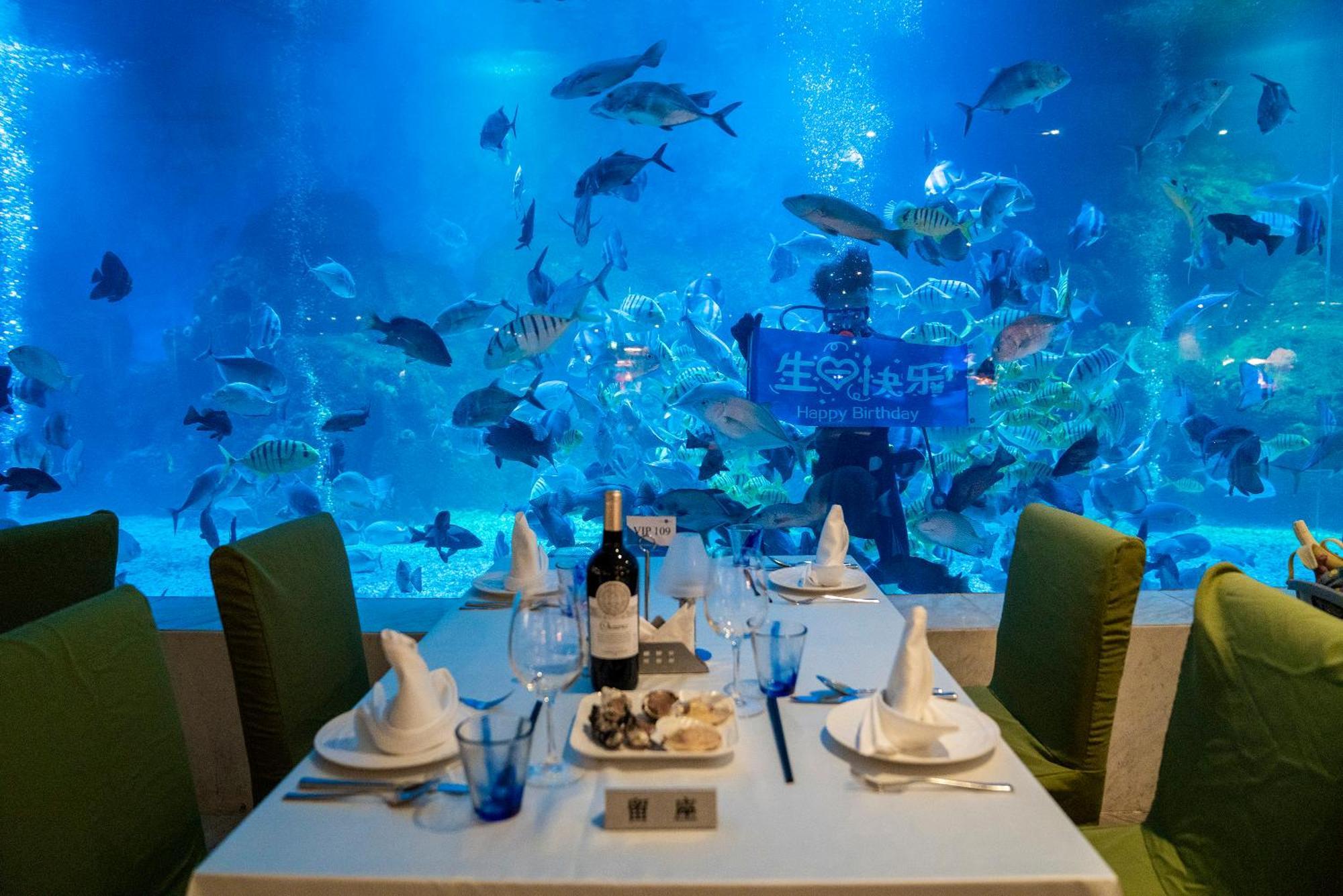 Palace Yalong Bay Санья